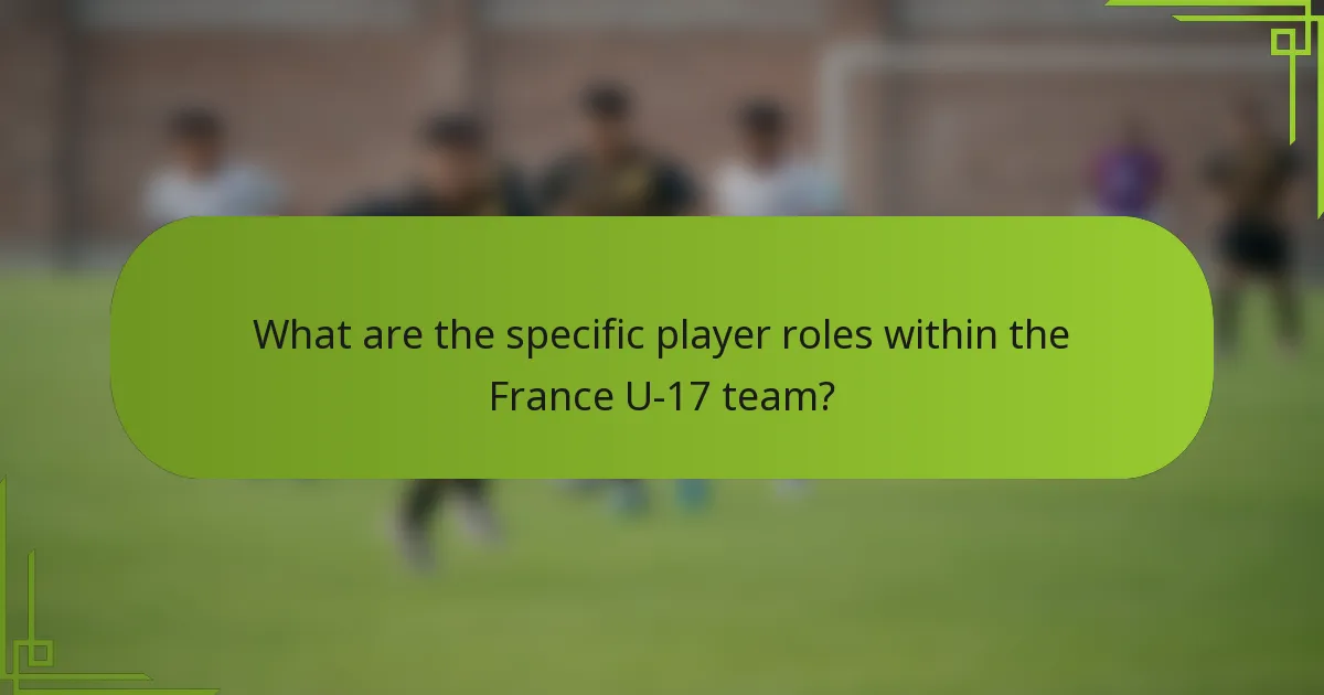 What are the specific player roles within the France U-17 team?