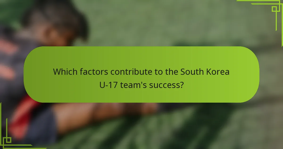 Which factors contribute to the South Korea U-17 team's success?